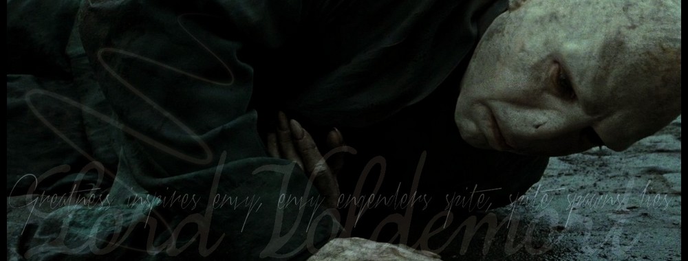Lord Voldemort. Tom Riddle. Ralph Fiennes.